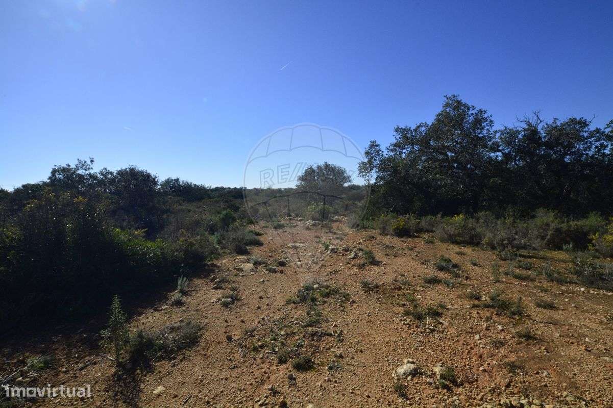 Terreno  para venda - Grande imagem: 4/11