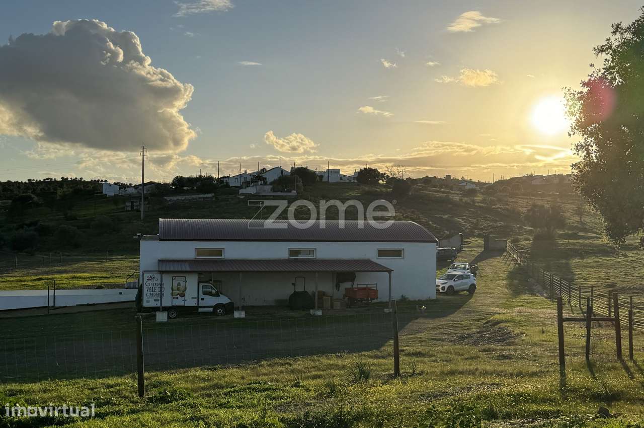 Herdade Vale do Guadiana 25HA-19