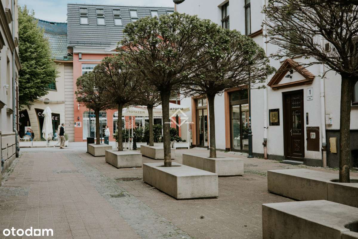 Potencjał inwestycyjny na Monte Cassino - Pełny obrazek: 4/6