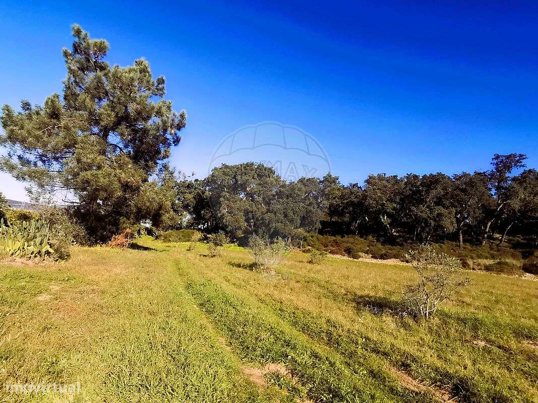 Terreno  para venda - Grande imagem: 5/21