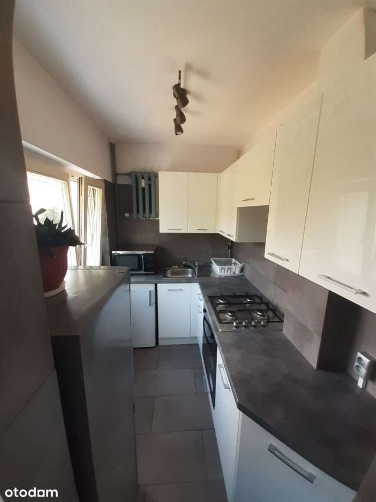 3x Pokój balkon Grunwald ul. Bukowska uam psychologia medyczny pedagog - Pełny obrazek: 5/15