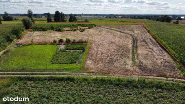 Masłowo - atrakcyjne działki budowlane - Pełny obrazek: 5/12