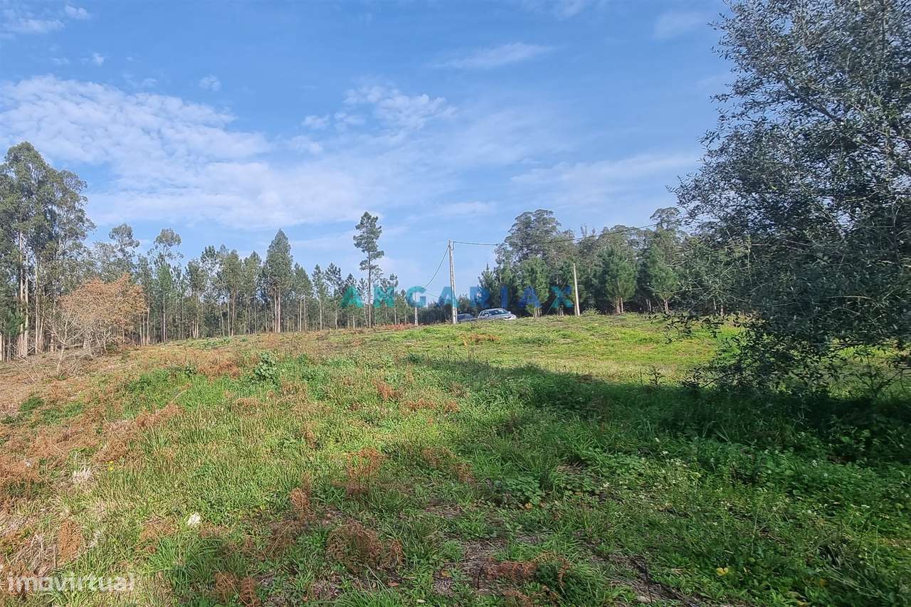 ANG1017 - Terreno de 4174m2 à Venda em Maceira, Leiria - Grande imagem: 5/12