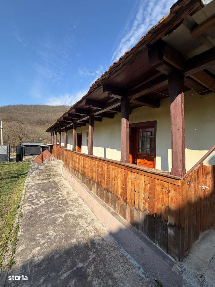 Comision 0% I Casa individuala I Teren de 3252 mp I Arghis-14