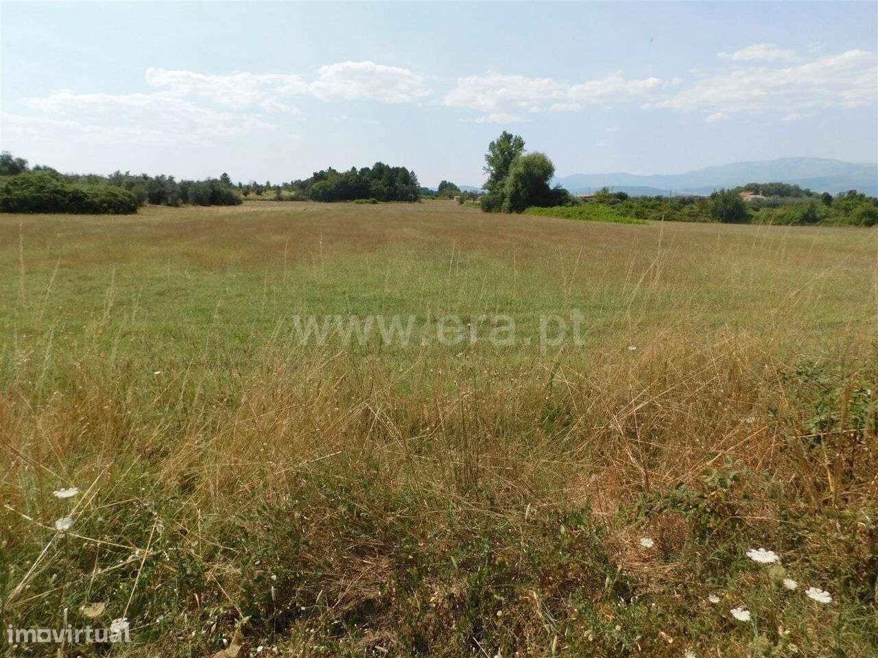 Terreno Rústico / Fundão, Valverde - Grande imagem: 4/5