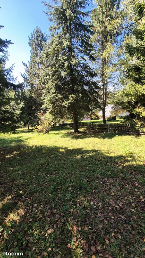 Piękny Dom z widokiem na Sosnowy las|Działka 13 ar| Cicha okolica !-17