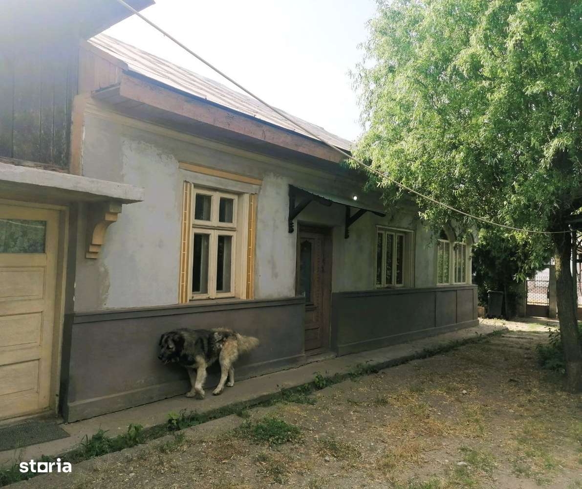 Vand casa batraneasca cu teren 2200 mp, Tantava, aproape de București - Imagine principală: 5/8