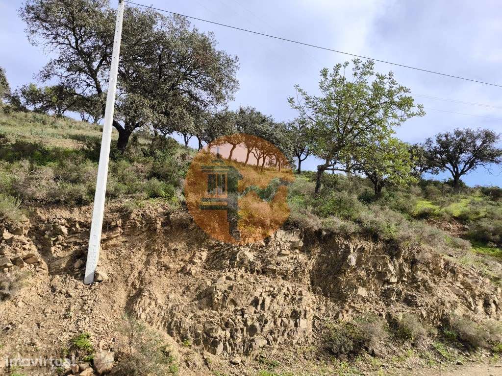 TERRENO RÚSTICO COM 1.920 M² - PRÓXIMO A ELETRICIADADE - JUNTO À RI... - Grande imagem: 3/24
