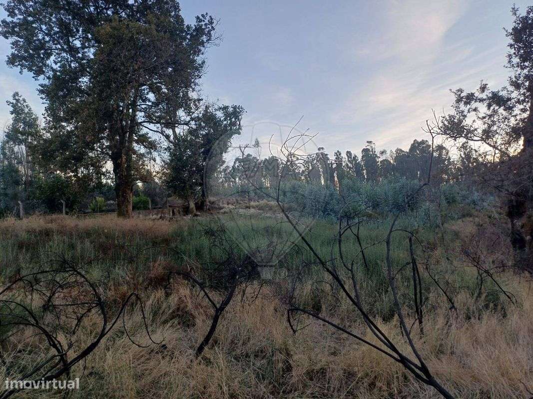 Terreno  para venda - Grande imagem: 4/7