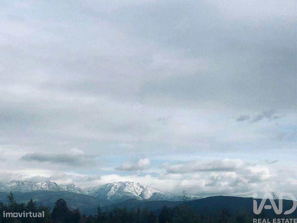 Terreno Agrícola em Oliveira do Hospital e São Paio de Gramaços-7