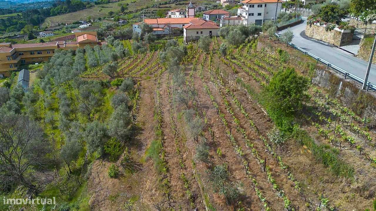 Moradia T6 para venda - Grande imagem: 4/29