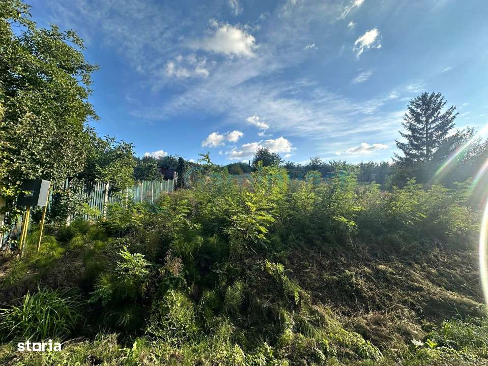 Teren cu PUZ ,proiect 8 case,Gheorghe Doja,Oradea,V4306,Gaminvest - Imagine principală: 3/9
