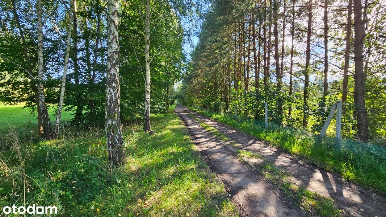 Działka budowlana Kamiennik Wielki, gmina Milejewo-2