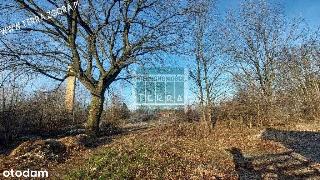 Działka Inwestycyjna - Pełny obrazek: 5/20