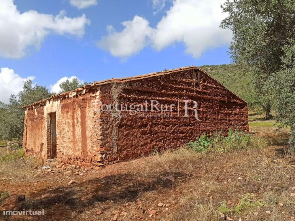 Herdade com 14 hectares e ruína em Moura - Grande imagem: 3/16