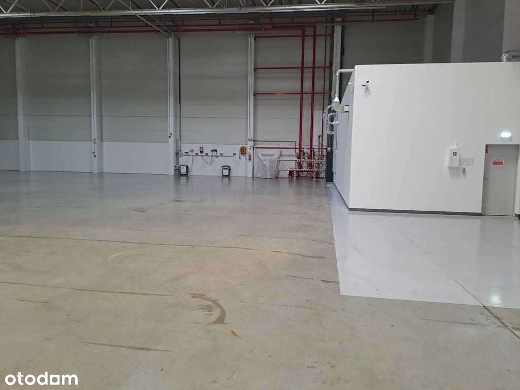 Podnajem magazynu z obsługą, Piotrków Trybunalski - Pełny obrazek: 5/9