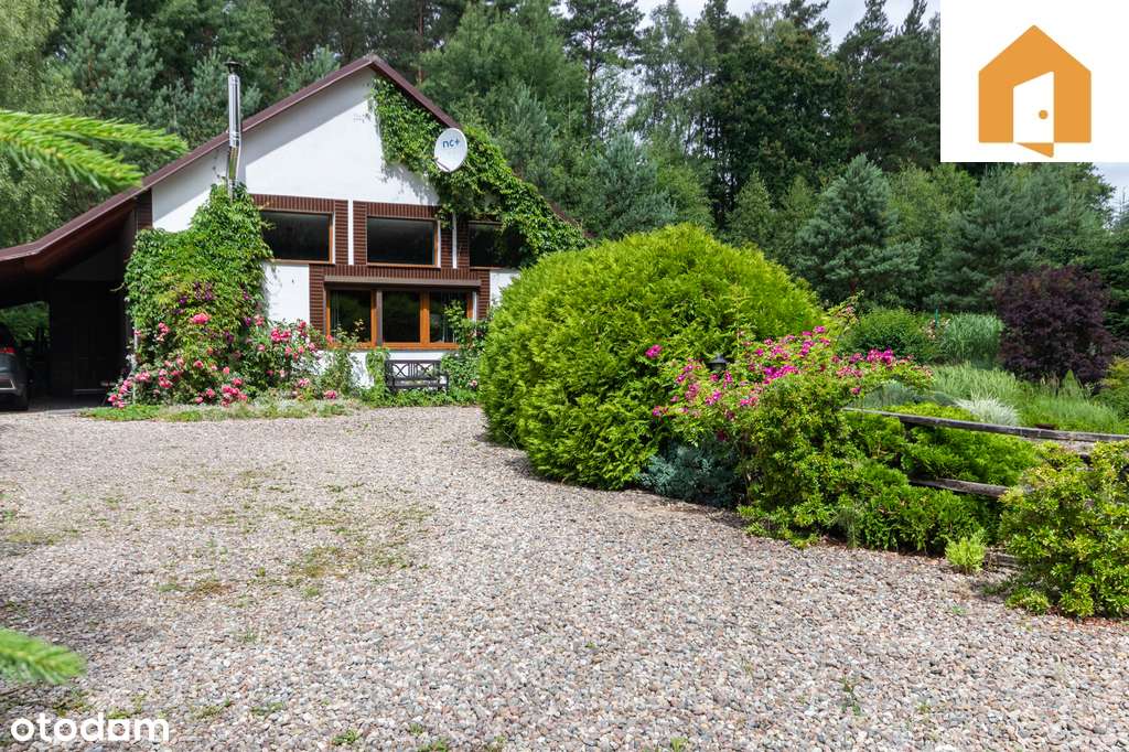 Dominikowo | własny staw | las | jezioro - Pełny obrazek: 4/20