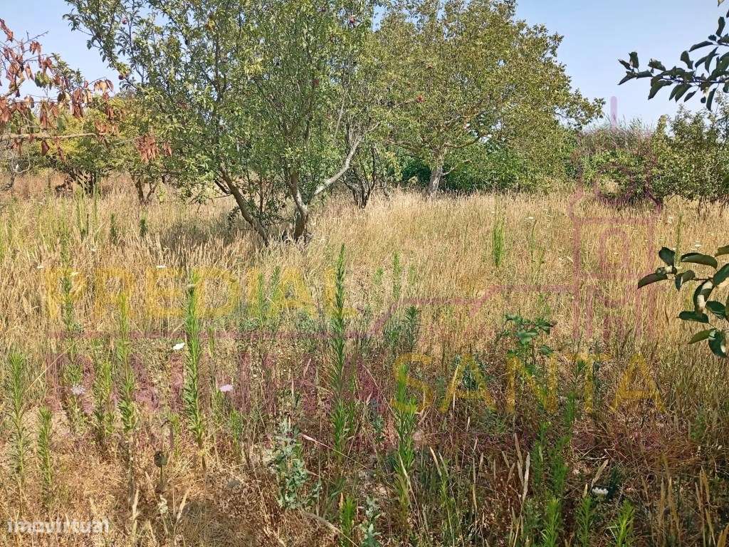 Herdade toda murada com artigo urbano 1460 m2 e rústico com 16.280 m2-6