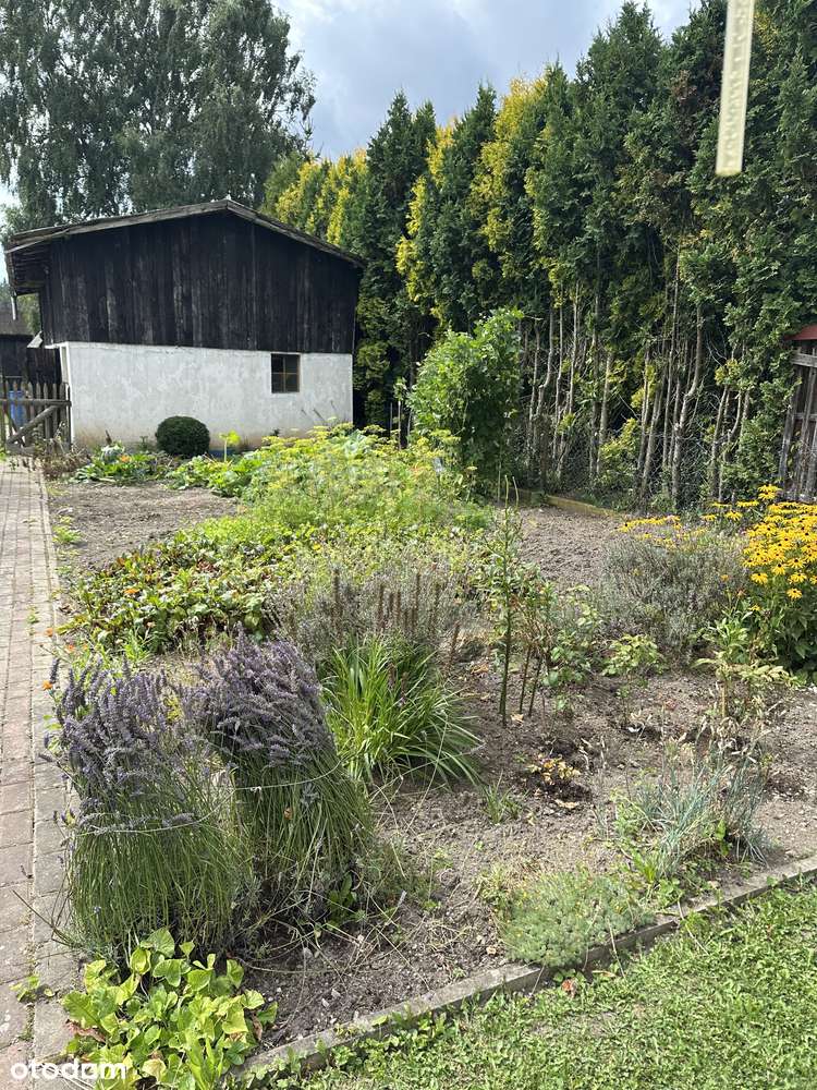 Dom z własnym jeziorem-3