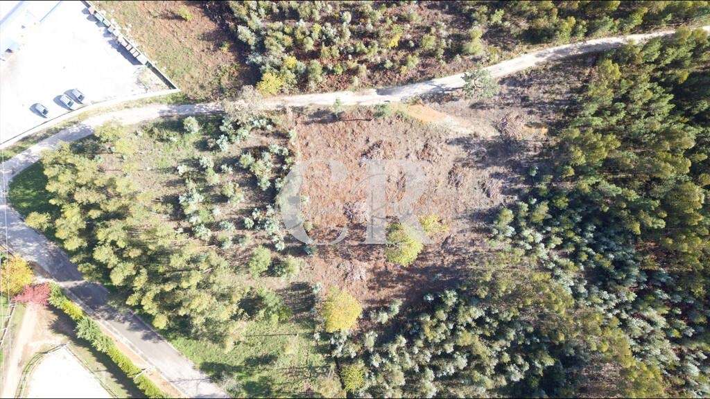 Oportunidade Única para Investimento Imobiliário em Figueiró dos Vinho - Grande imagem: 3/4