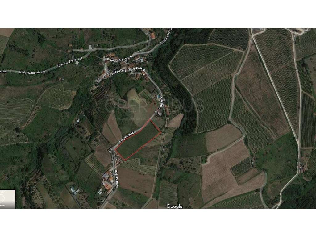 Lar - capacidade para 60 utentes - Grande imagem: 4/10