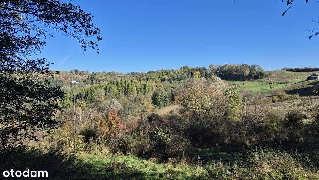 Gospodarstwo z domem 4ha ziemi-8