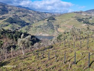 Terreno  para venda