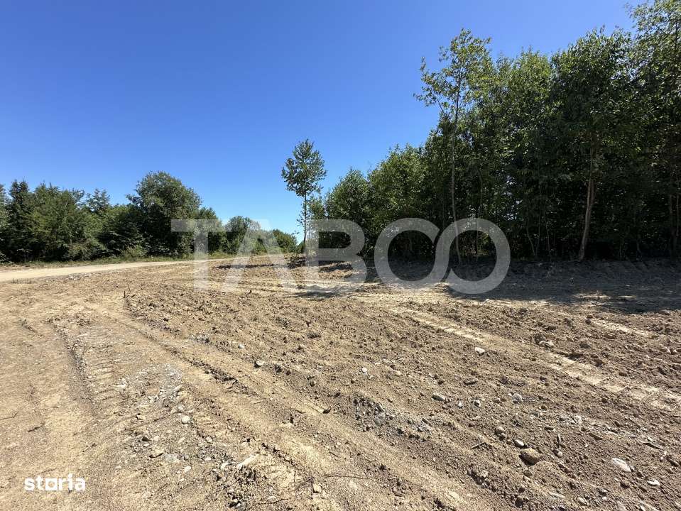 Teren extravilan cu utilitati 1800 mp langa Rau pe Valea Sebesului - Imagine principală: 5/6