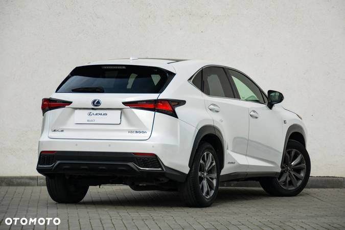 Lexus NX - 6