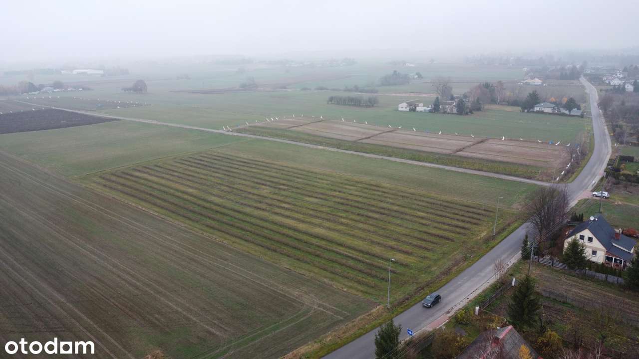 Kompleks  pięciu działek budowlanych Ożarów, gm. Jastków-5