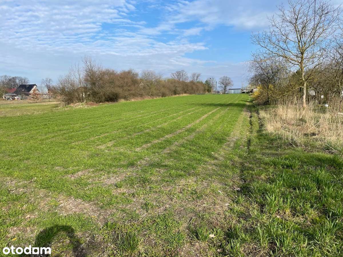 Działka 3600 m² Jemiołów(Łagów Lubuski) w malowniczej okolicy - Pełny obrazek: 3/11