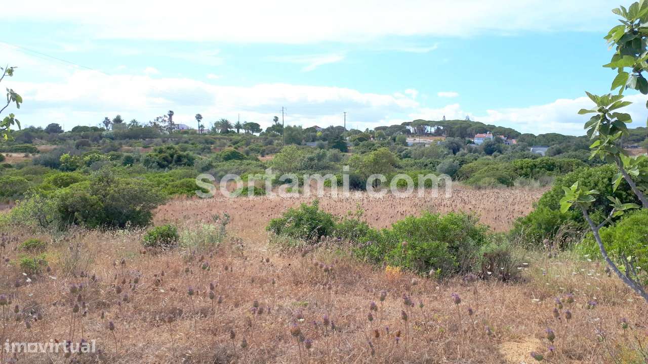 Terreno Rústico  Venda em Porches,Lagoa (Algarve) - Grande imagem: 4/7