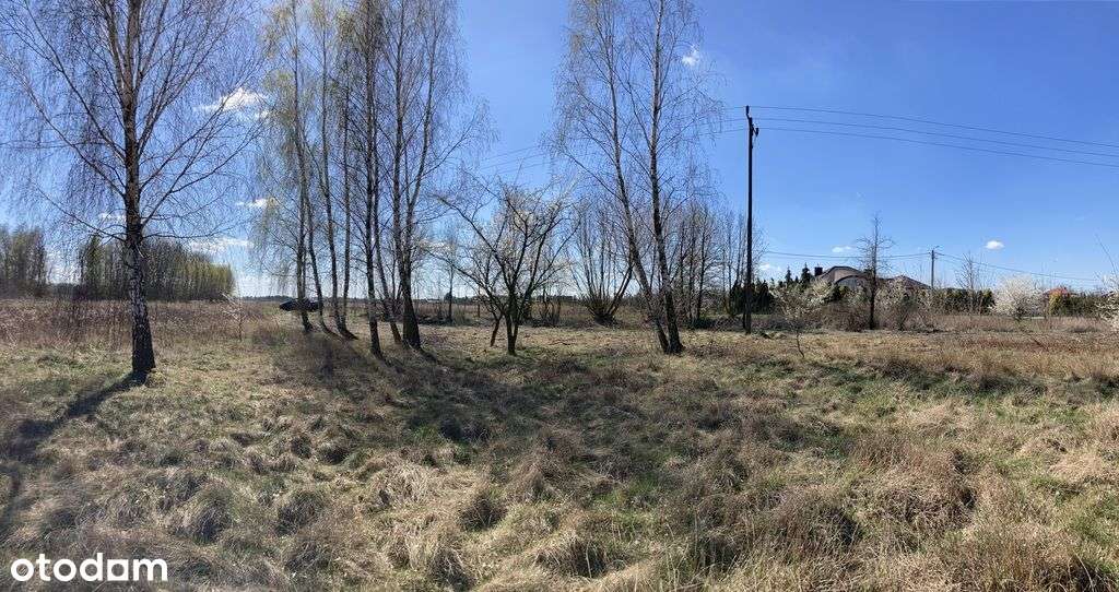 Działka, 4 100 m², Chynów - Pełny obrazek: 4/10