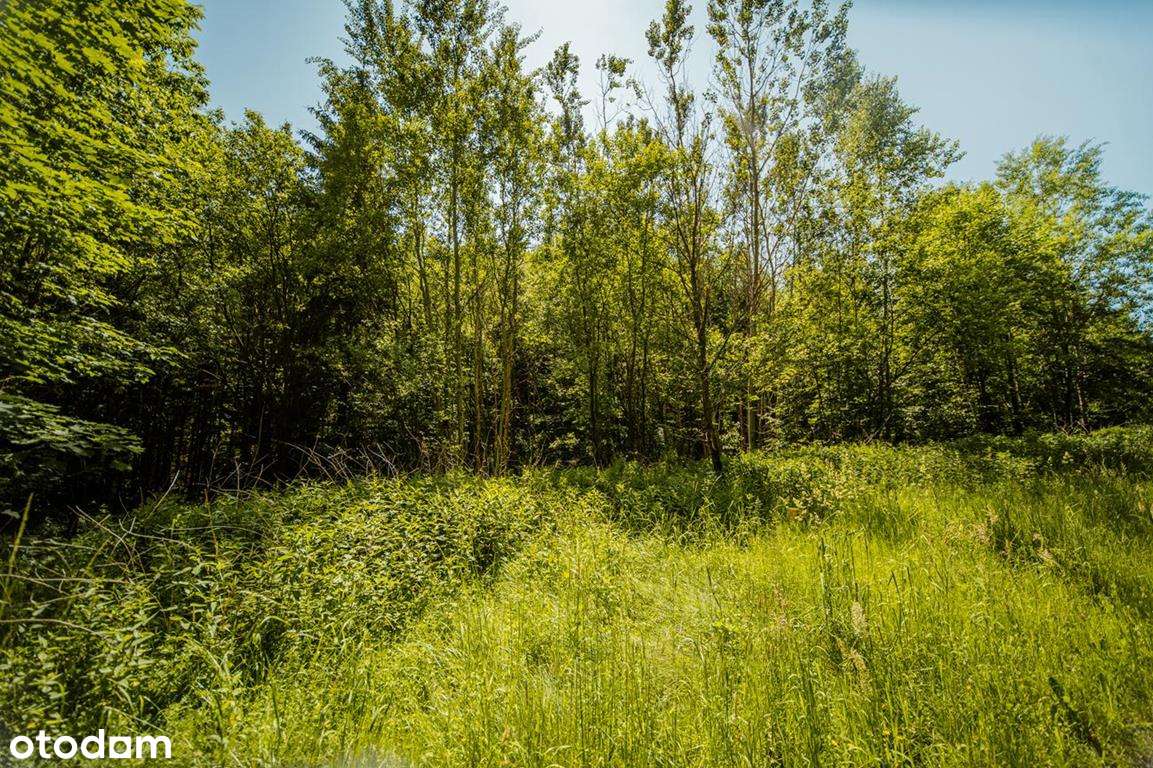 Działka budowlana z linią brzegową górskiego potoku-8