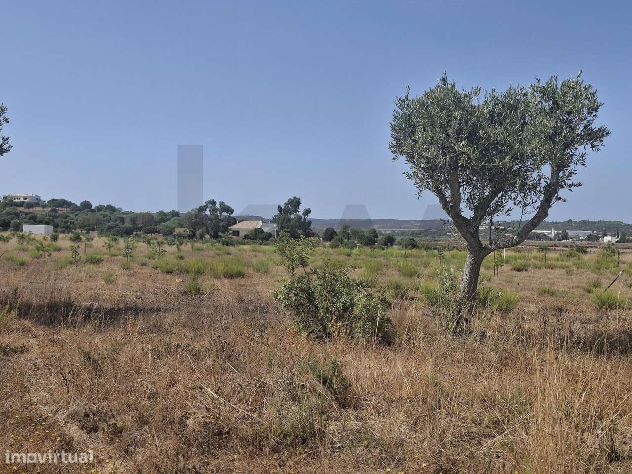Propriedade agrícola com 78.640 m2 em Vale da Lama, Odiáxere.-3