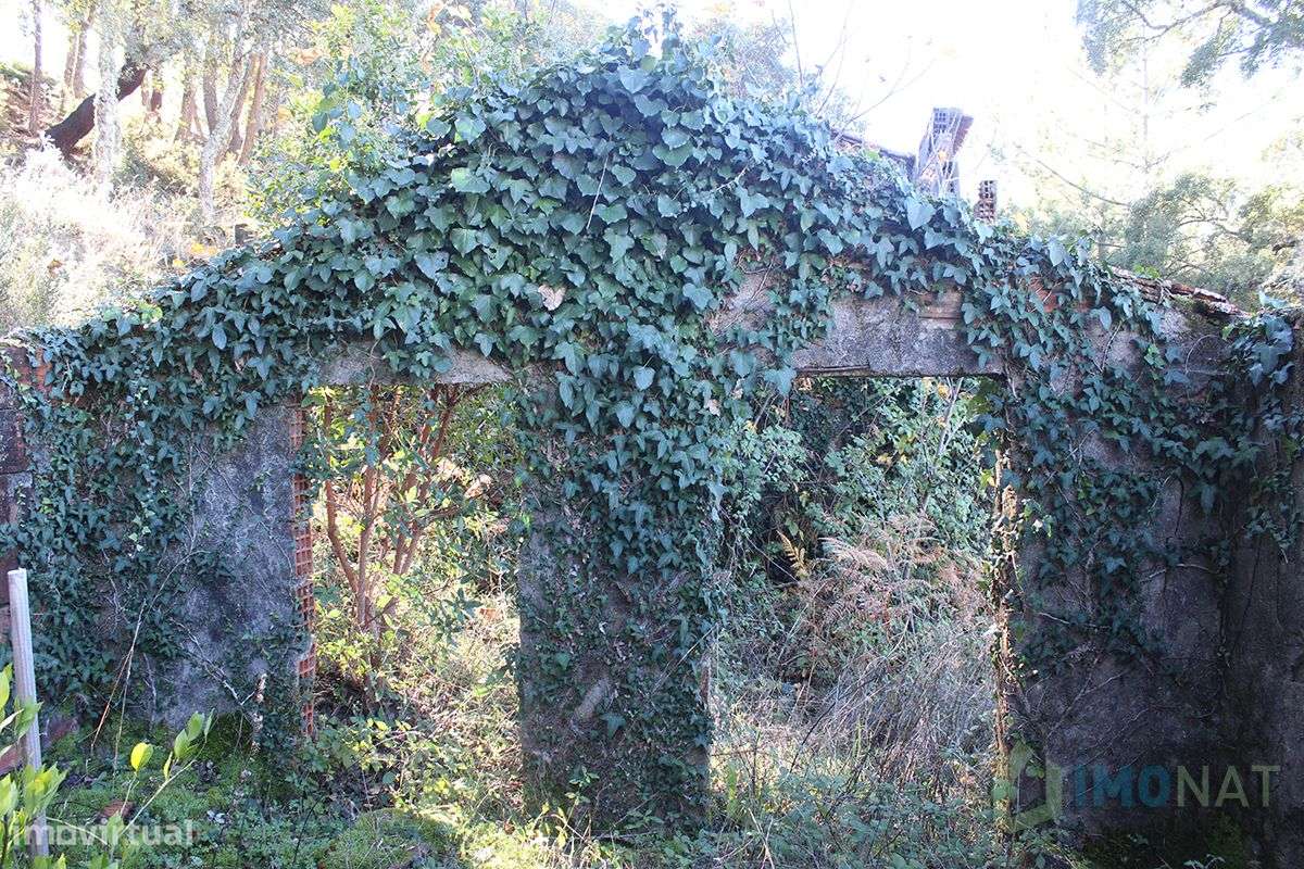 Imóvel Rural - Grande imagem: 5/32