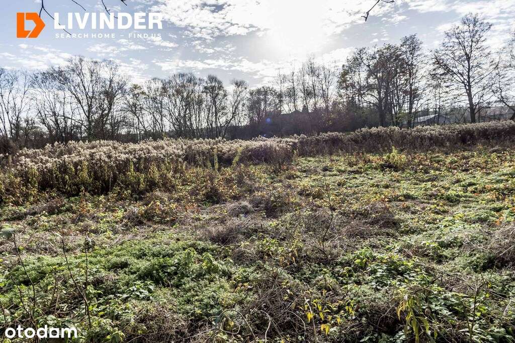 Dom 5 pok z 61 ar działką, Morsko - Pełny obrazek: 5/13