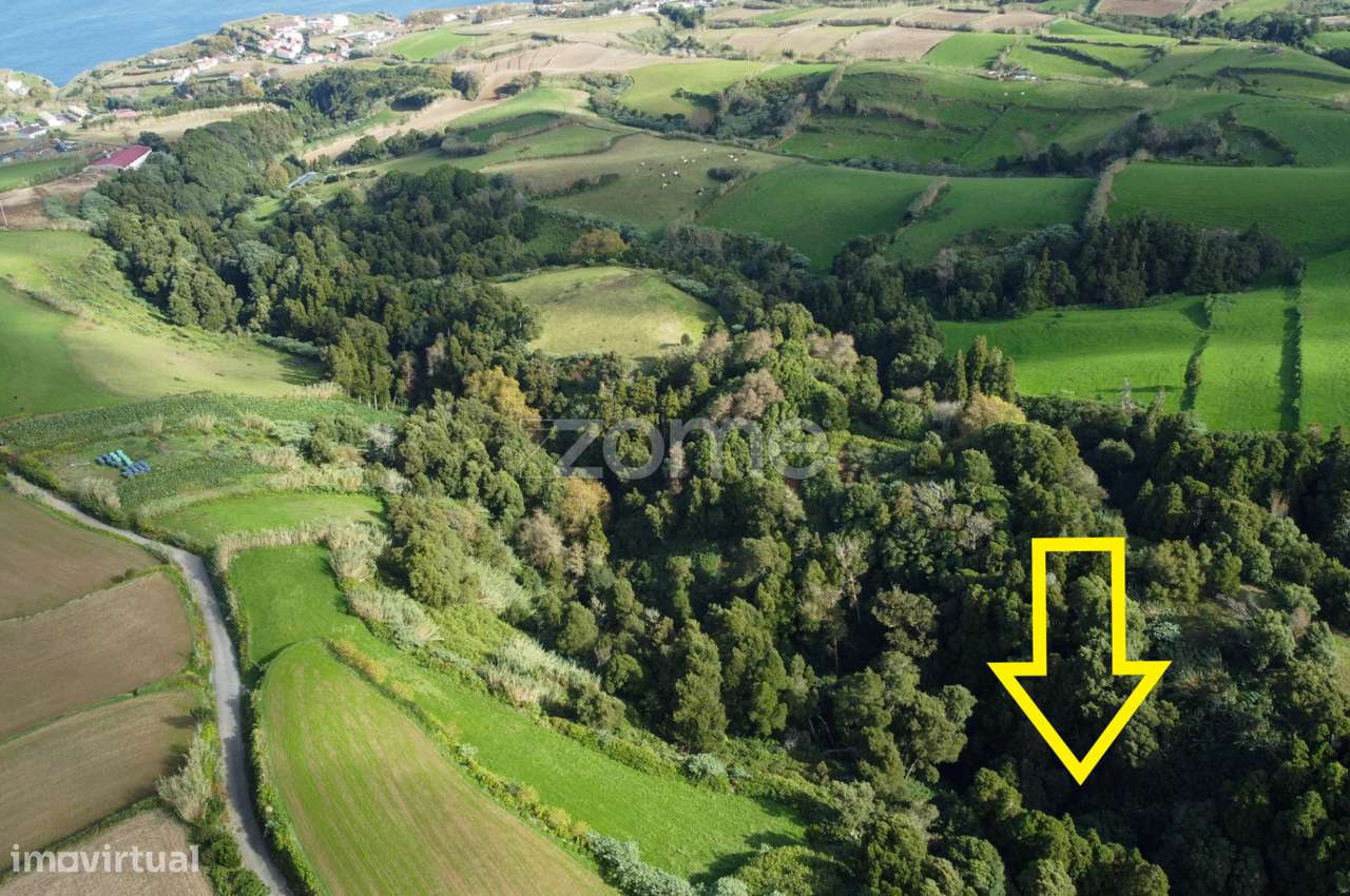 Terreno composto por mata com 13420m2 - Grande imagem: 3/5