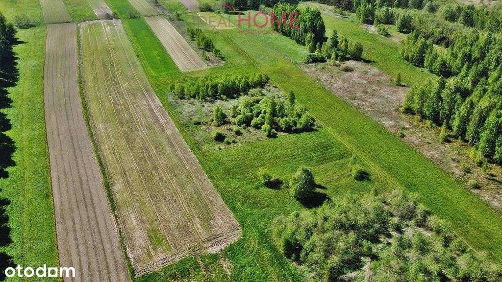 Działka na sprzedaż w Krzywej - Wz w realizacji - Pełny obrazek: 5/6