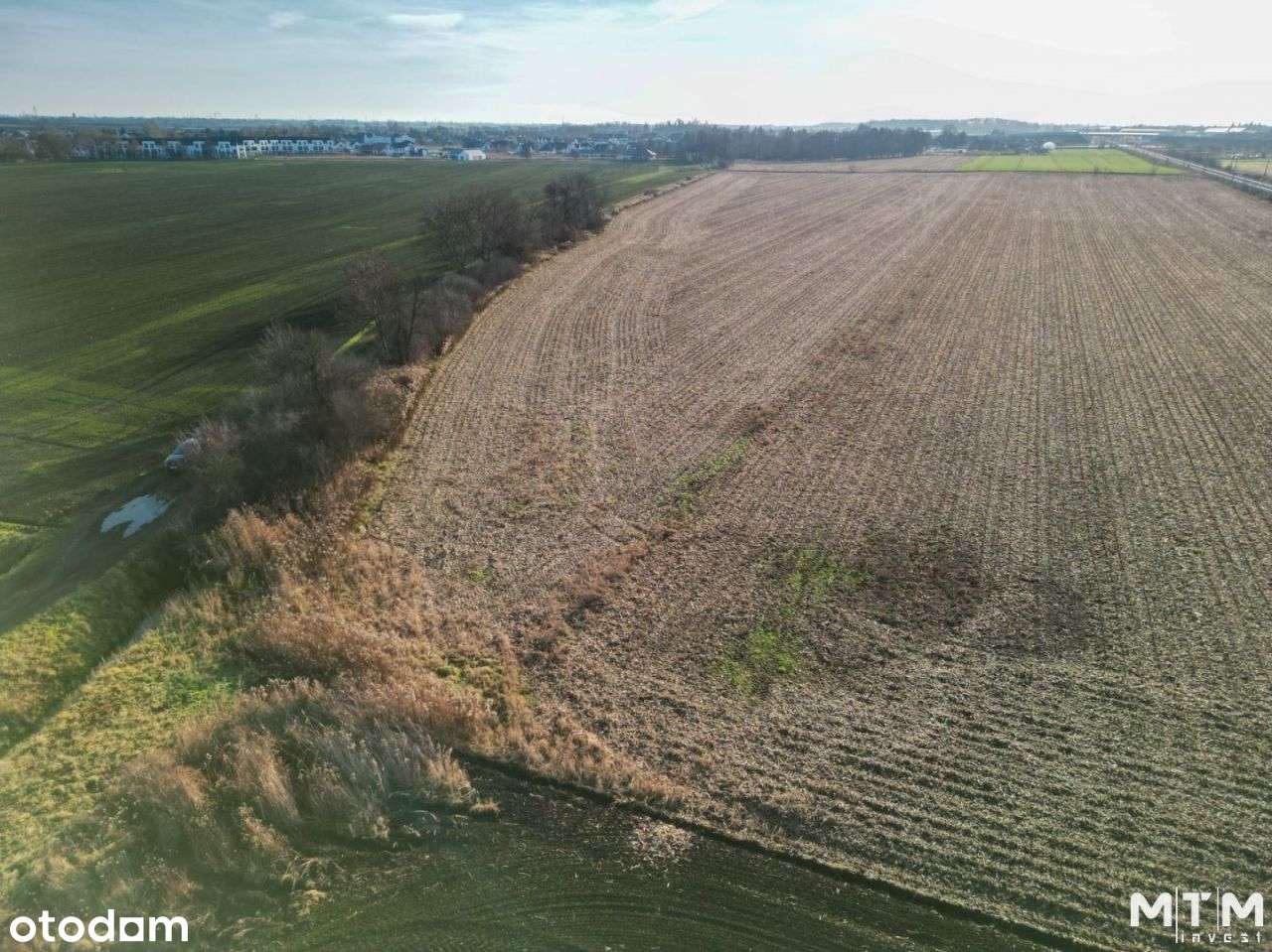 Działka, 9 878 m², Iwiny-9