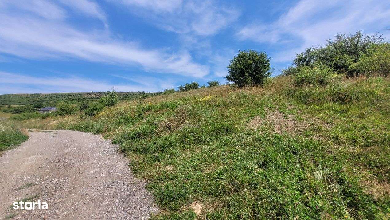 Teren intravilan, 2200 mp, 5.9 metri front, Deusu, Cluj - Imagine principală: 2/4