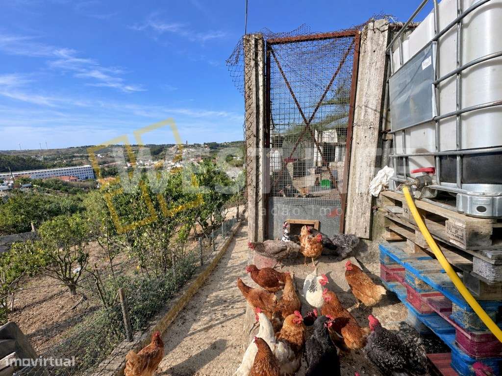 Terreno Urbano com Potencial para Construção de Moradias | EXCLUSIV...-14