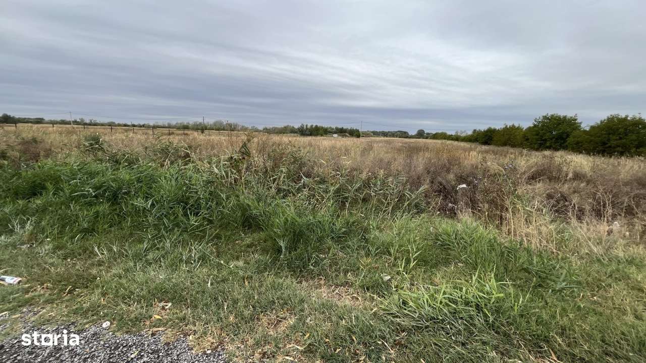 Teren intravilan oportunitate business - Imagine principală: 5/15