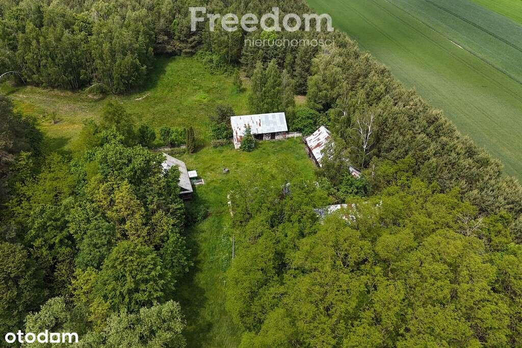 Urokliwe siedlisko w pobliżu rzeki Liwiec - Pełny obrazek: 4/20