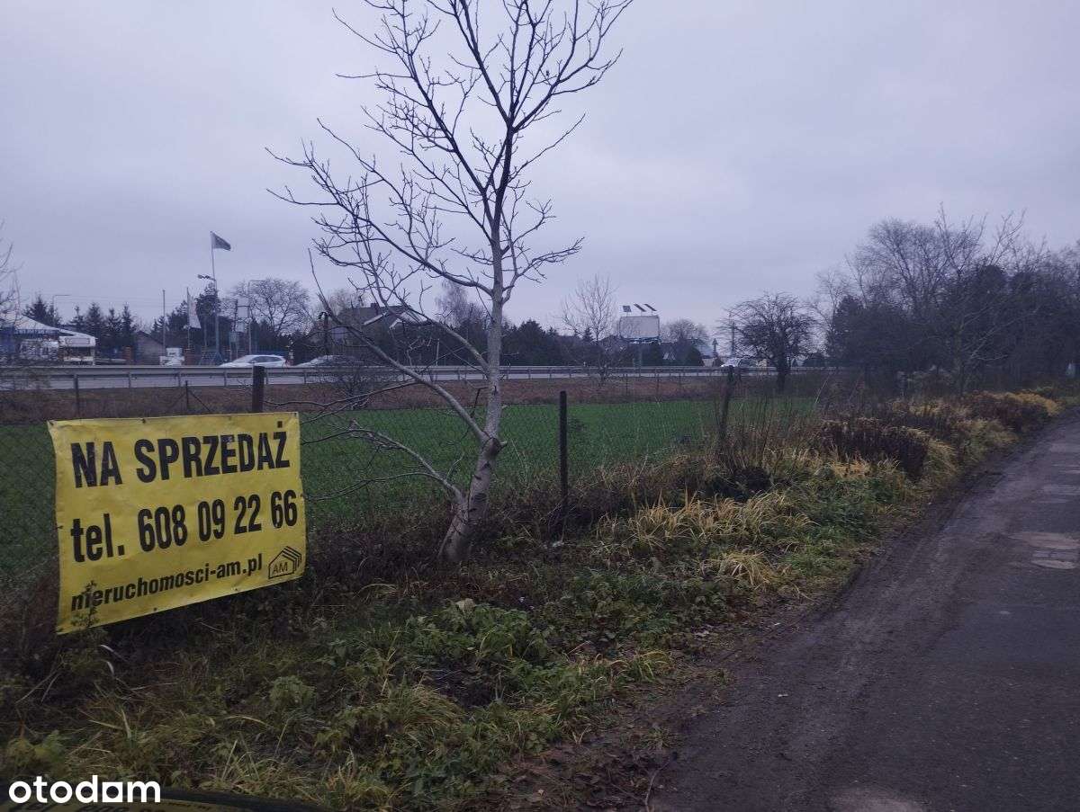 Dom z dużą działką, idealną pod AG, przy trasie nr 92 w Paczkowie - Pełny obrazek: 5/17