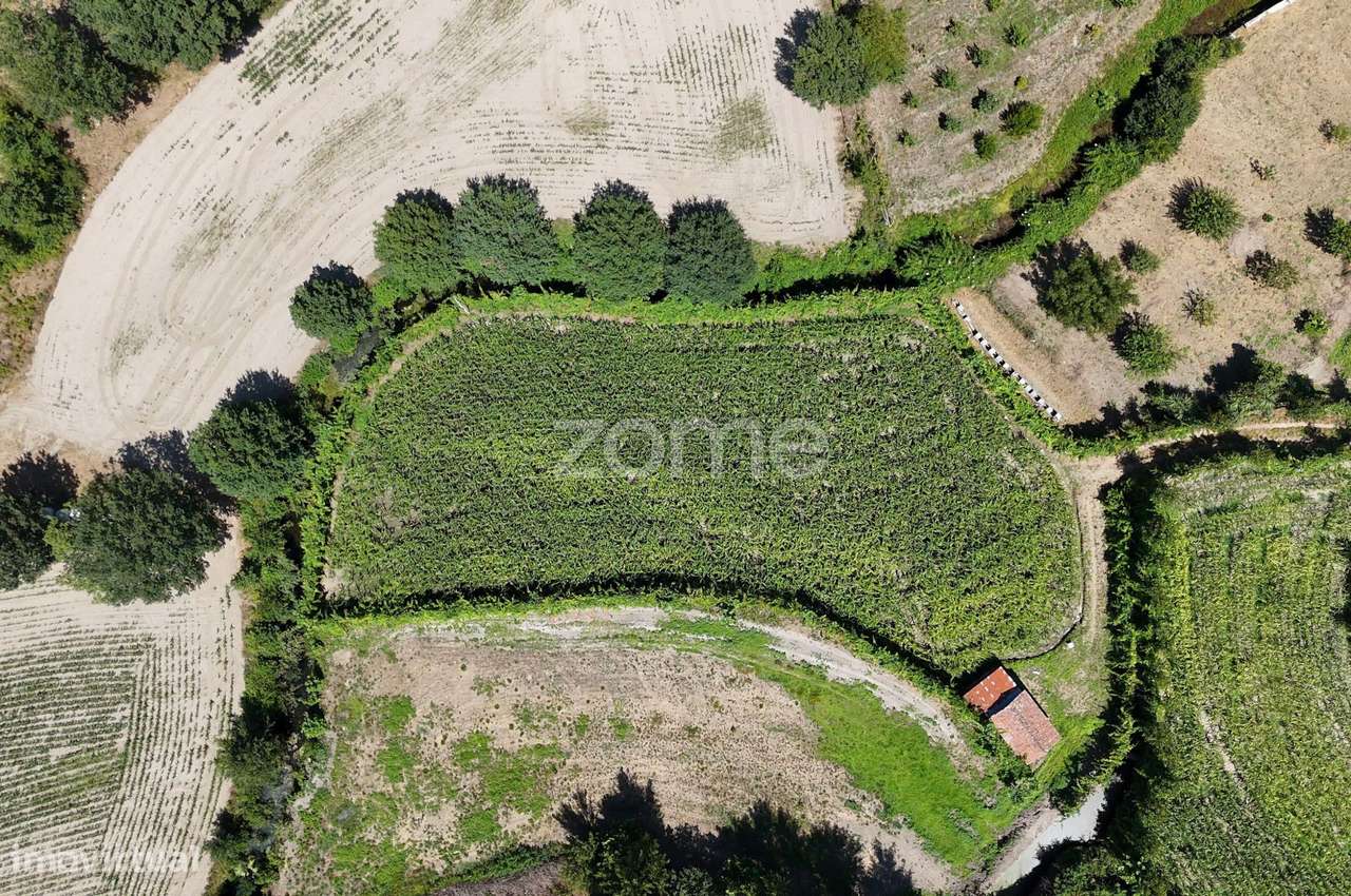 Terreno, 2 386 m², São Gens-16