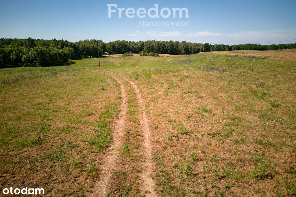 Działka z projektem i pozwoleniem w k/Mrągowa - Pełny obrazek: 5/11