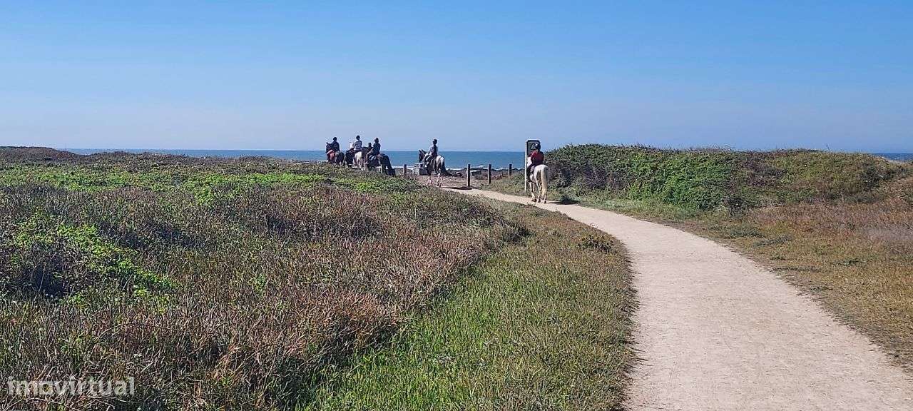 Excelente apartamento em frente ao mar - Grande imagem: 4/49