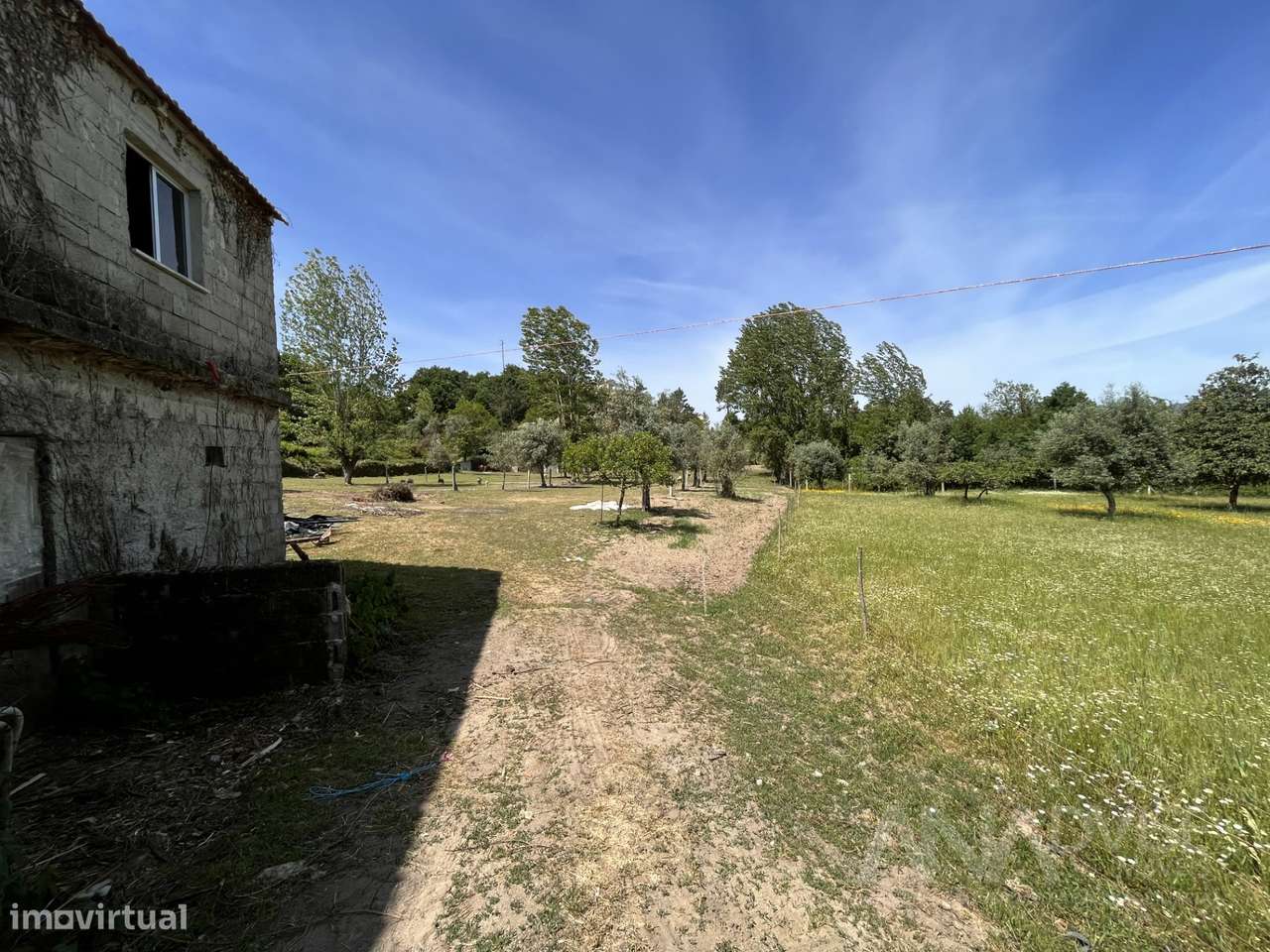 Quinta  Venda em São Miguel do Mato,Vouzela - Grande imagem: 2/48