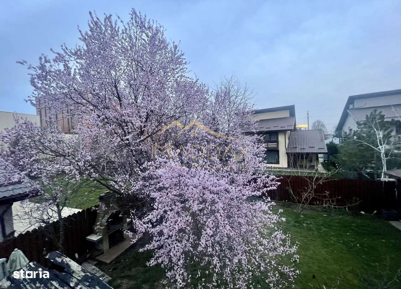 Masterpiece villa*** 6 camere//Independenta energetic//Kaufland Balote - Imagine principală: 4/20